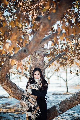 夫妻免费观看在线高清电视剧