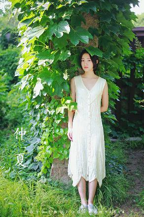 四面佛1-15集免费播放